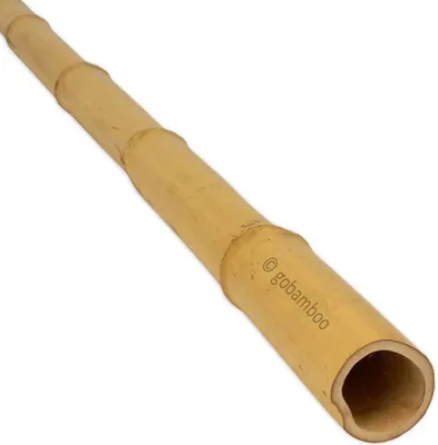 A single bamboo pole is shown diagonally against a white background.