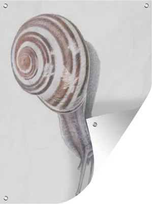 Produktbild von MuchoWow®