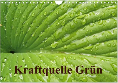 Produktbild von Kraftquelle Grün (Wandkalender 2025 DIN A4 quer), CALVENDO Monatskalender