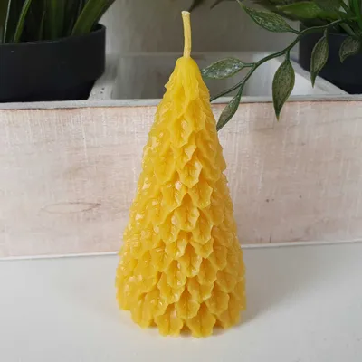 Immagine prodotto di Candela in cera d'api Abete come candela 9 cm
