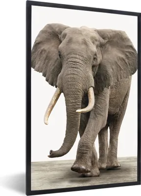 Produktbild von MuchoWow® Gerahmtes Poster Elefant - Kinder - Tiere - Mädchen 20x30 cm - Poster mit Schwarzem Bilderrahmen Wandposter Rahmen Foto Bilder - Drucken - Bilder Poster im Rahmen