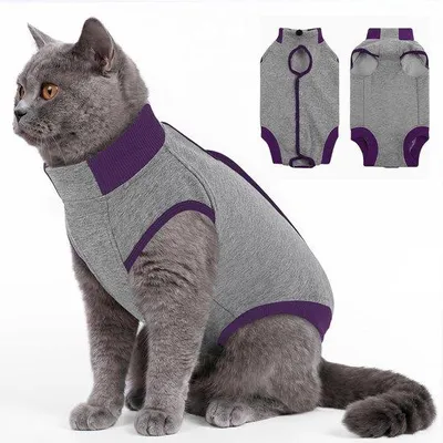 Produktbild von CITÉTOILE: Erholungspaket für Katzen nach einer Operation