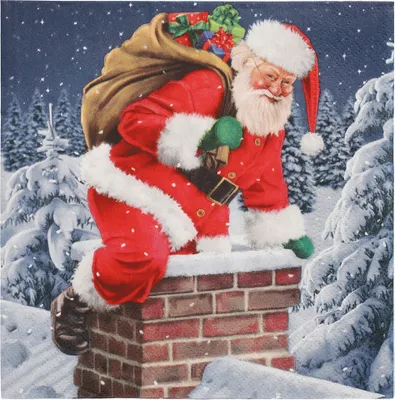 Productafbeelding van PAPSTAR 89356 PAPSTAR Servietten Down the Chimney 20 St.