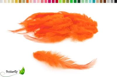 Produktbild von 3g Hahnenkreuz Federn ca. 8-13cm, Farbauswahl:orange 668