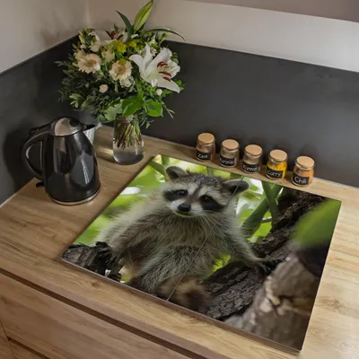 Produktbild von banjado Herdabdeckplatte zweiteilig je 30x52cm groß mit Gummi Abstandshalter, ESG Sicherheitsglas mit Motiv Waschbär [HAP2 10424]