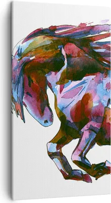 Produktbild von Bild auf Leinwand - Leinwandbild - Pferd Eleganz wild Tier - 45x80cm - Wand Bild - Wanddeko - Leinwanddruck - Bilder - Kunstdruck - Wanddekoration - Leinwand bilder - Wandkunst - PA45x80-3010
