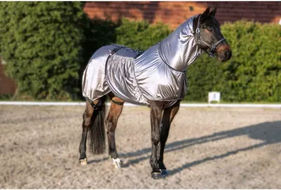 Productafbeelding van Paardendeken - Insecten deken - Bescherming paard - Ademend duurzaam materiaal - 105 - Grijs