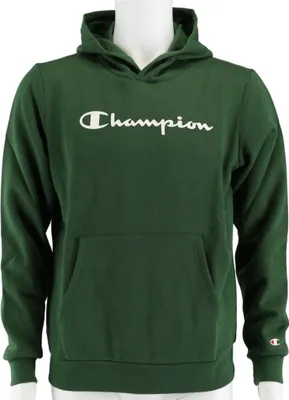 Produktbild von Sweatshirts Champion Big Logo Print 305358GS561F20