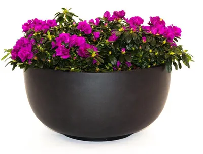 Produktbild von Elegant Einrichten | Pflanzkübel | Fiberglas | rund | D60xH30cm | elegant schwarz-matt.