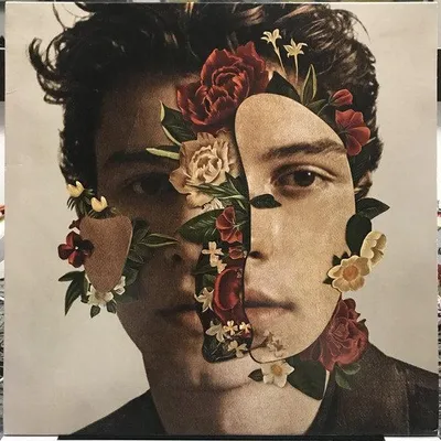 Obrázok produktu pre ImportCDs Shawn Mendes, Pop rock, Vinyl, Fyzické médiá, Dospelý, 1 disky, 05/07/2018