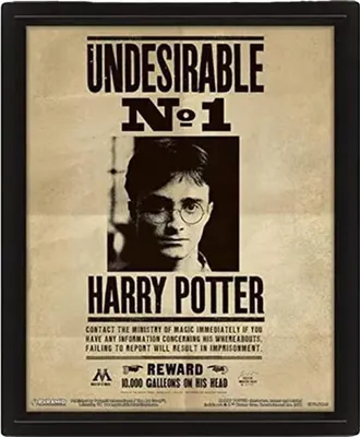 Produktbild von Harry Potter - 3D Lentikular Gerahmtes Plakat CD2381 (Einheitsgröße) (Bunt)