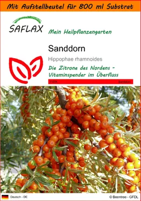 Produktbild von SAFLAX - Garden in the Bag - Heilpflanzen - Sanddorn - 40 Samen - Mit Anzuchtsubstrat im praktischen, selbst aufstellenden Beutel - Hippophae rhamnoides