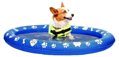 Produktbild von Hunde Poolmatte - Aufblasbarer Schwimmreifen für Hunde | Wasserspielzeug für den Sommer im Freien