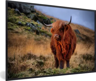 Produktbild von MuchoWow® Gerahmtes Poster Schottische Highlander - Gras - Steine 60x40 cm - Poster mit Schwarzem Bilderrahmen Wandposter Rahmen Foto Bilder - Printing - Wanddeko Schlafzimmer