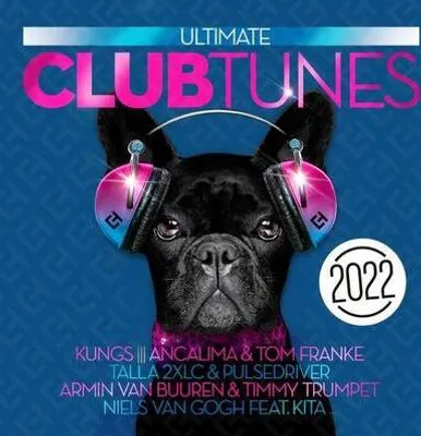 Immagine prodotto di Il meglio della musica da discoteca 2022