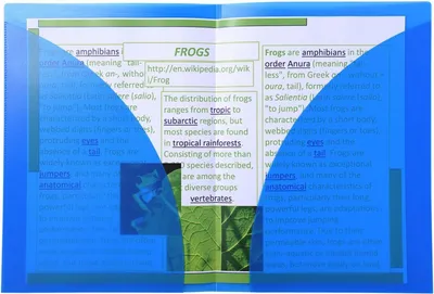 Produktbild von Präsentationsmappe Polypropylen DIN A4 Blau doppelte Innentasche Exacompta 3962E