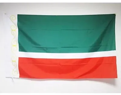 Zdjęcie produktu dla Go Go Gadget – flaga – 90 x 150 cm – Czeczenia