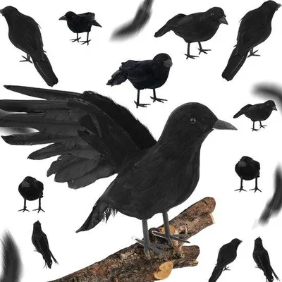 Image de Lot d'oiseaux décoratifs - Accessoires d'Halloween - Fabriqués à la main - 30 pièces - Noir
