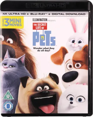 Produktbild von Pets (nur Originalversion) [BLU-RAY 4K+BLU-RAY]