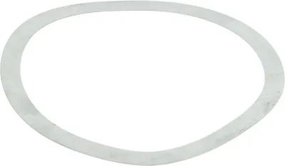 Produktbild von Euroricambi Distanzscheibe 95530304 0,3mm 10,5g