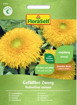 Obrázek produktu pro Slunečnice Gefüllter Zwerg FloraSelf