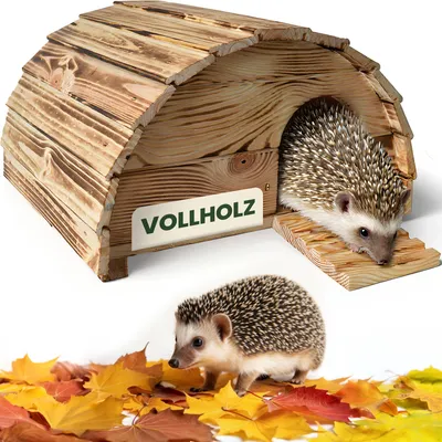 Produktbild von Igelhaus Igelhütte zooprinz Knut | Winterfest | Wetterfest | Geflammt | 40 x 25 x 35 cm | Igelrampe  Labyrintheingang | Massivholz