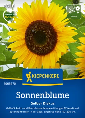 Produktbild von Kiepenkerl Sonnenblumensamen Gelber Diskus Helianthus annuus 20 Pflanzen