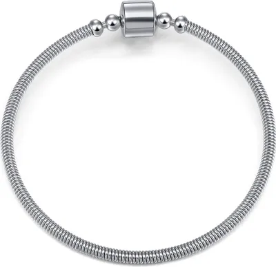 Image de Bracelet modulaire Pandora en acier inoxydable, 19 cm