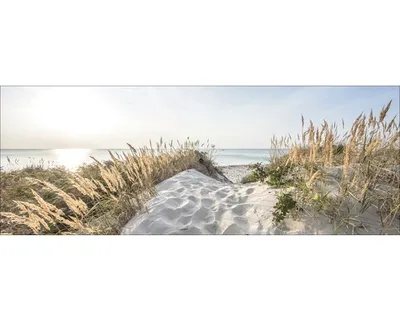 Produktbild von Glasbild Sunrise 80x30 cm, Sandpfad durch hohe Gräser zum Meer mit Sonne, maritim