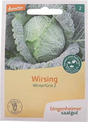 Produktbild von Wirsing Winterfürst 2 |  Wirsingsamen von Bingenheimer Saatgut