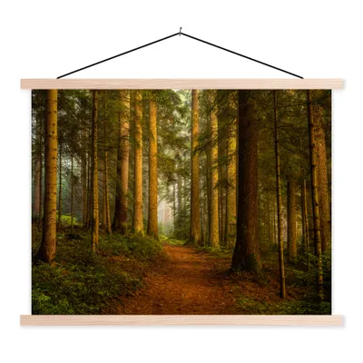 Produktbild von MuchoWow® Textilposter Wald - Natur - Bäume - Landschaft - Laub 40x30 cm mit holzfarbenen Rahmen - Bilder