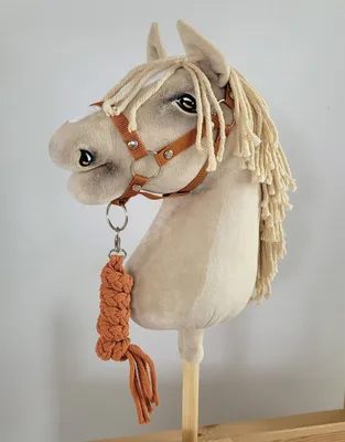 Produktbild von Set für Hobby Horse A3 Halfter und Leine rot