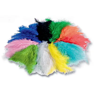 Image de folia 53109 folia plumes moelleuses, 100 g, couleurs assorties