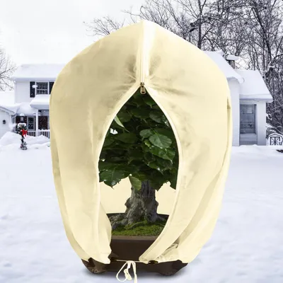 Image de Protection hivernale pour plantes, dimensions 250 x 360 cm, sac de protection pour plantes en pot, couleur beige