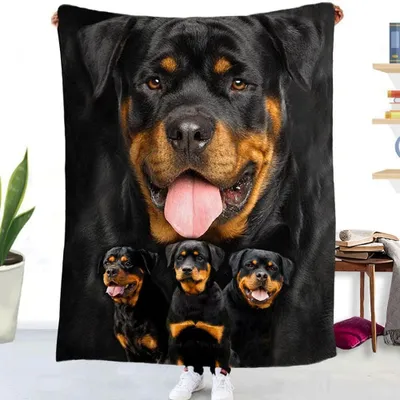 Produktbild von Rottweiler Kuscheldecke 150 x 200 cm Flanell