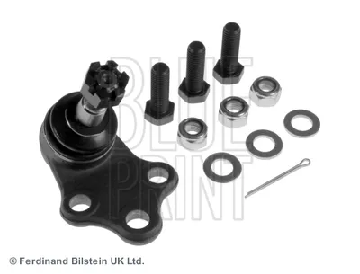 Produktbild von BLUE PRINT Traggelenk Vorne Rechts Unten für NISSAN Serena (C23) ADN18648
