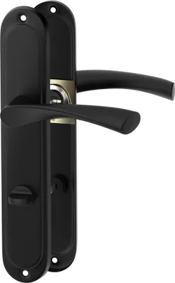 A black door handle set on a white background.
