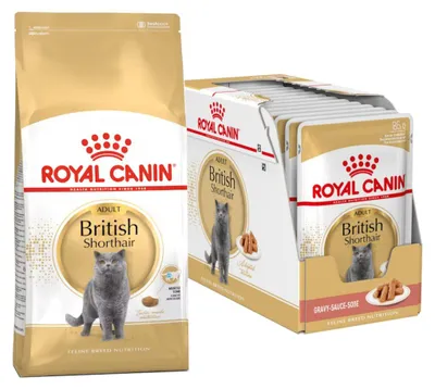 Zdjęcie produktu dla Royal Canin British Shorthair 10kg+12x85g Karma Dla Dorosłego Kota