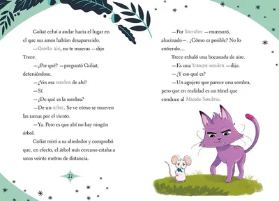 Imagen del producto de El Laberinto Mágico