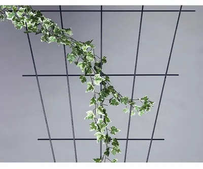 Rosenspalier V-Form grün 150x75 cm aus Eisendraht