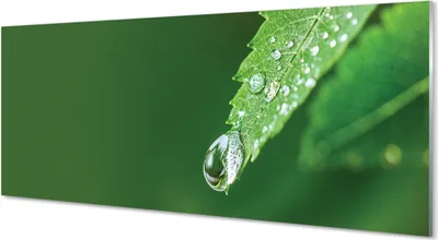 Produktbild von Glasbilder 125x50 Wandkunst Wassertropfenblatt