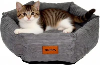 Produktbild von Katzenbett Hundebett und Katzenbett, für alle Jahreszeiten, hoher Rand, waschbar, flauschiges, rutschfestes, rundes Hundebett für kleine, mittelgroße