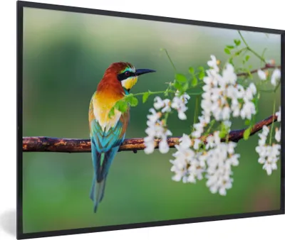 Produktbild von MuchoWow® Gerahmtes Poster Vogel - Bienenfresser - Blumen 90x60 cm - Poster mit Schwarzem Bilderrahmen Wandposter Rahmen Foto Bilder - Fotorahmen - Foto-Plakat