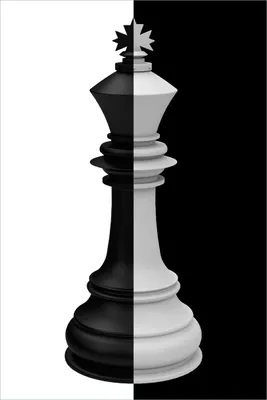 Produktbild von Wallario selbstklebendes Poster - Schachfigur schwarz-weiß, Größe: 61 x 91,50 cm