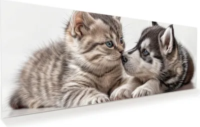 Produktbild von Glasbild 100x40cm in XXL für Wohnzimmer, Schlafzimmer Motiv Kätzchen und Welpe