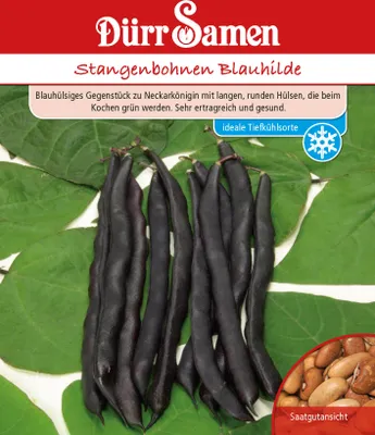 Artikelbild 1 von 'Stangenbohne Blauhilde' aus der Kategorie Stangenbohnensamen