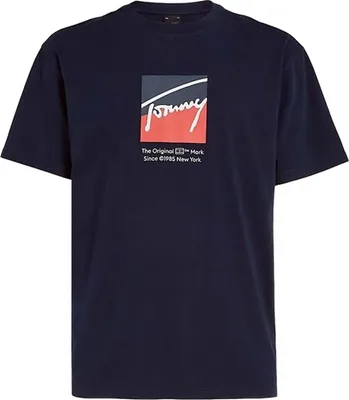 Obrázek produktu pro Tričko Tommy Hilfiger DM0DM18524C1G pro Pánské