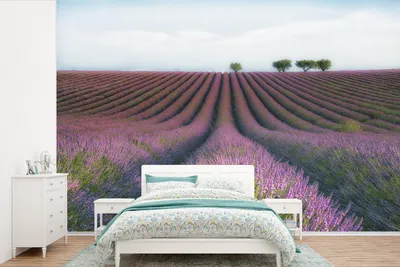 Produktbild von MuchoWow® Fototapete für Wohnzimmer oder Schlafzimmer Wandtapete Vinyl Motivtapete Lavendel - Blumen - Natur - 600x400 cm - Vinyltapeten