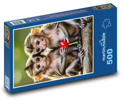 Obrázok produktu pre Puzzle 500 Opice so srdiečkom - martinpuzzle
