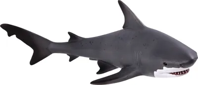 Image de Legler Animal Planet Requin-taureau, Jouets, dès 3 ans, 387270